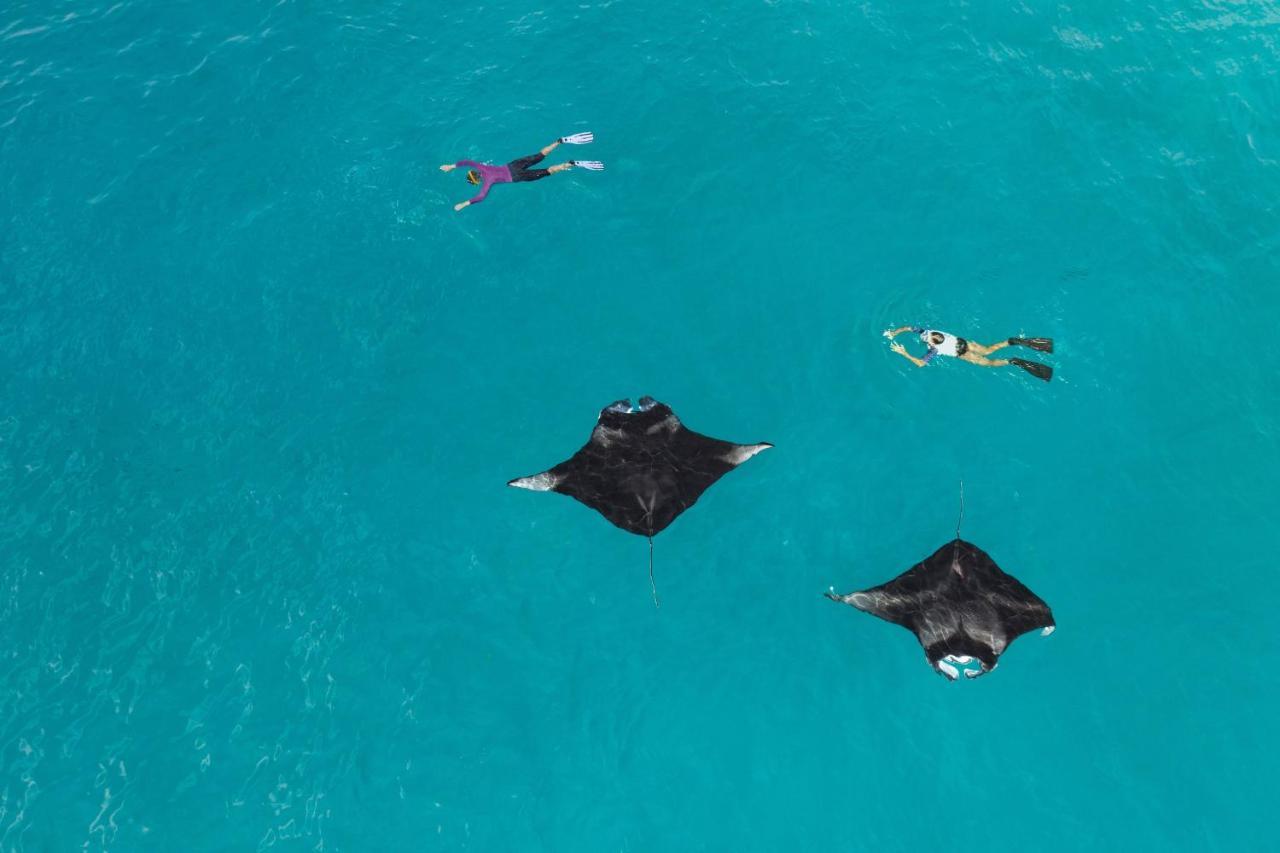 The Westin Maldives Miriandhoo Resort Eydhafushi Esterno foto